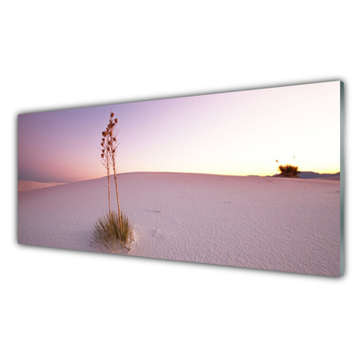 Glass Wall Art Desert landscape brown