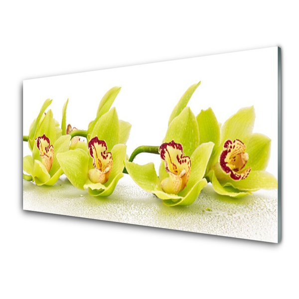 Glass Wall Art Flowers floral green