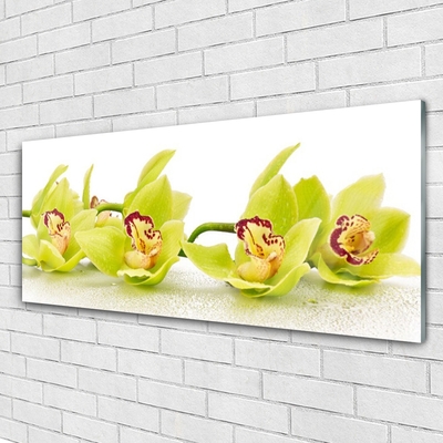 Glass Wall Art Flowers floral green