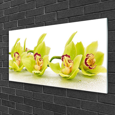 Glass Wall Art Flowers floral green