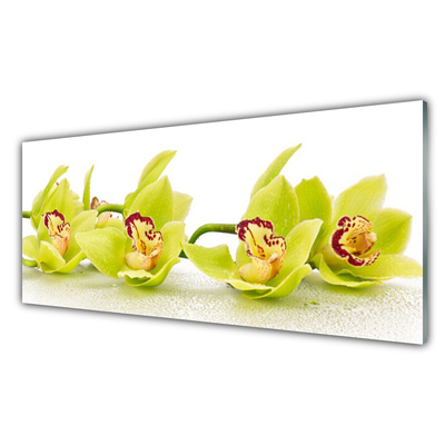 Glass Wall Art Flowers floral green