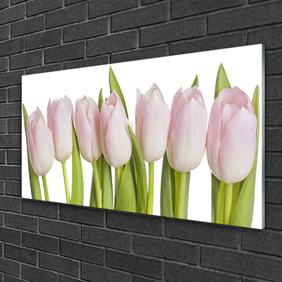 Glass Wall Art Tulips floral pink green