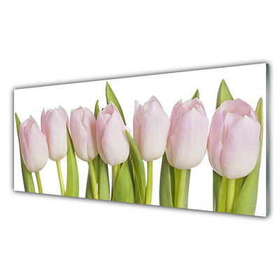 Glass Wall Art Tulips floral pink green