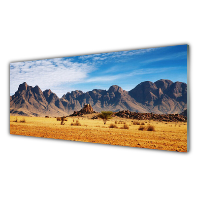 Glass Wall Art Desert landscape yellow brown