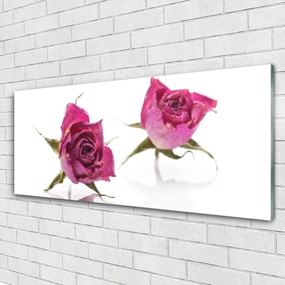 Glass Wall Art Roses floral red green