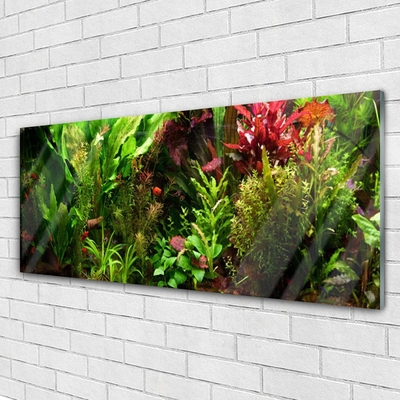 Glass Wall Art Plants nature green orange