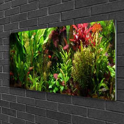 Glass Wall Art Plants nature green orange