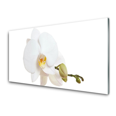 Glass Wall Art Flower floral white