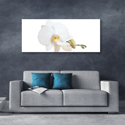 Glass Wall Art Flower floral white