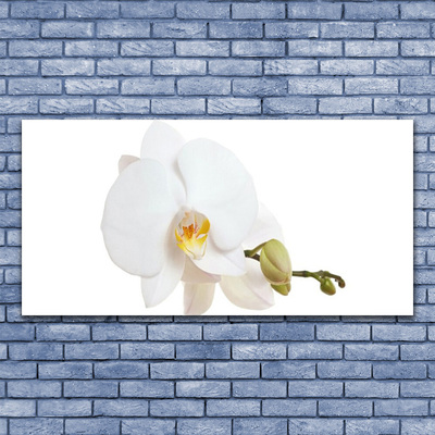 Glass Wall Art Flower floral white