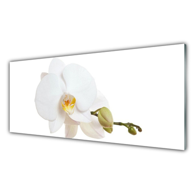 Glass Wall Art Flower floral white