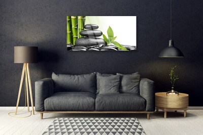 Glass Wall Art Bamboo stalks stones art green black