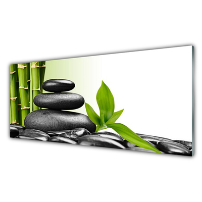 Glass Wall Art Bamboo stalks stones art green black