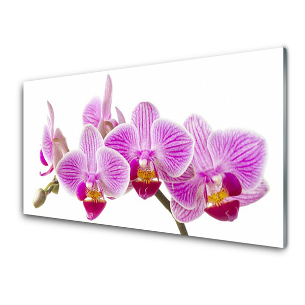 Glass Wall Art Flowers floral pink