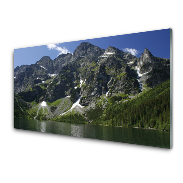 Glass Wall Art Mountains lake forest landscape green grey