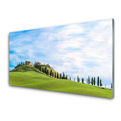 Glass Wall Art Meadow trees landscape green