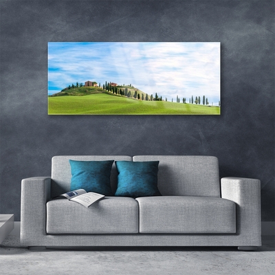 Glass Wall Art Meadow trees landscape green