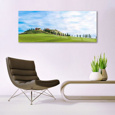 Glass Wall Art Meadow trees landscape green