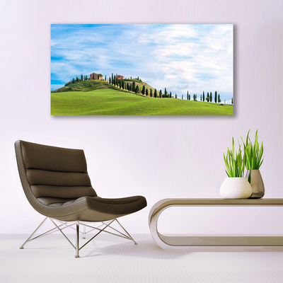 Glass Wall Art Meadow trees landscape green