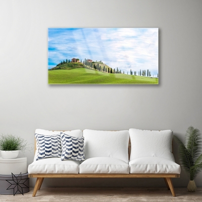 Glass Wall Art Meadow trees landscape green