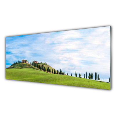 Glass Wall Art Meadow trees landscape green