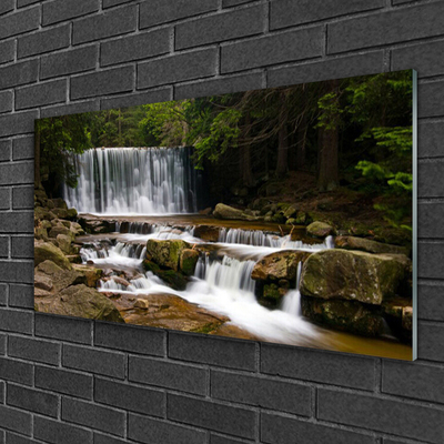 Glass Wall Art Waterfall forest nature white grey brown green