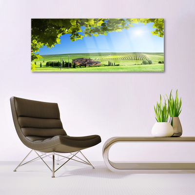 Glass Wall Art Field leaves landscape green brown