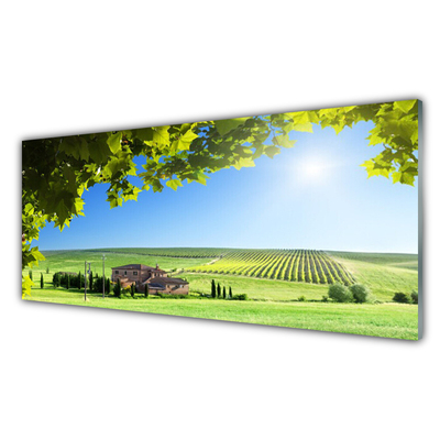 Glass Wall Art Field leaves landscape green brown