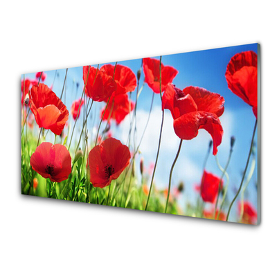 Glass Wall Art Poppy grass nature red green