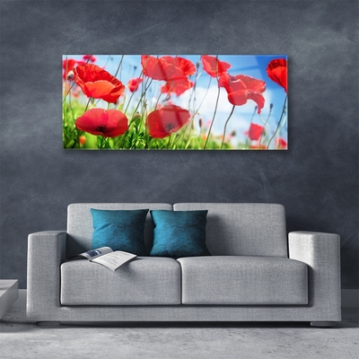 Glass Wall Art Poppy grass nature red green