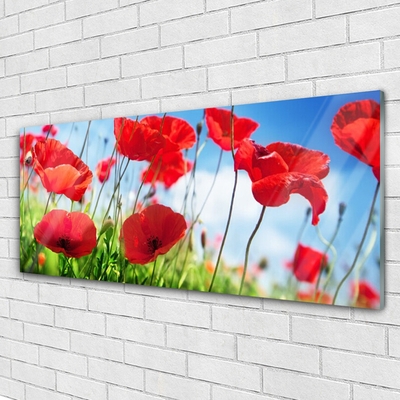 Glass Wall Art Poppy grass nature red green