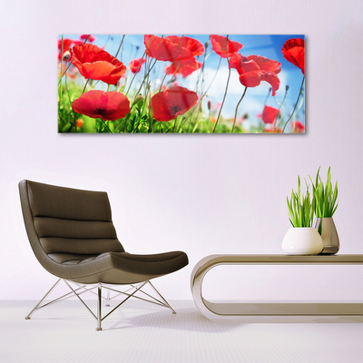 Glass Wall Art Poppy grass nature red green