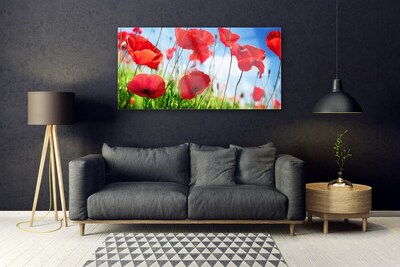 Glass Wall Art Poppy grass nature red green