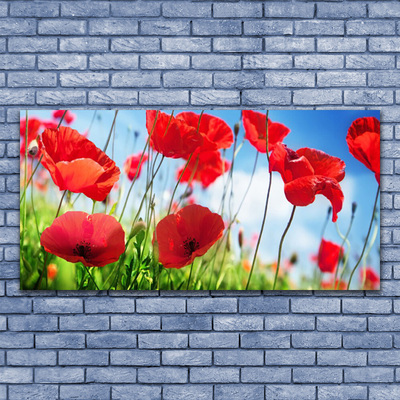 Glass Wall Art Poppy grass nature red green