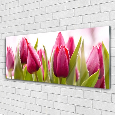 Glass Wall Art Tulips floral red