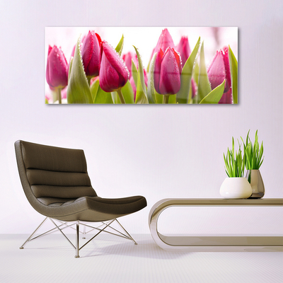 Glass Wall Art Tulips floral red