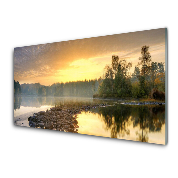 Glass Wall Art Lake stones forest landscape grey green white yellow