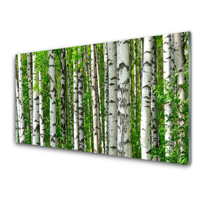 Glass Wall Art Forest nature black white green