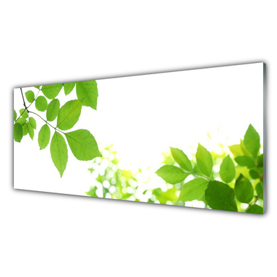 Glass Wall Art Petals floral white green