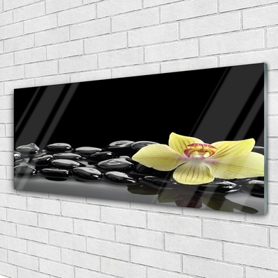 Glass Wall Art Flower stones kitchen yellow black