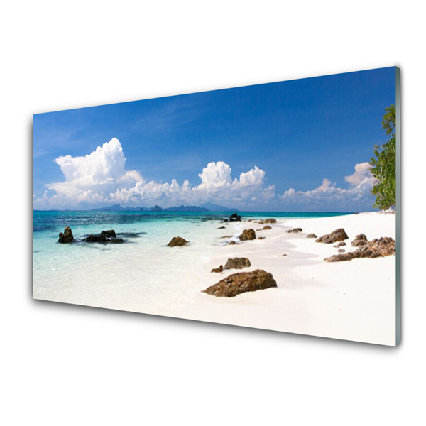 Glass Wall Art Beach stones landscape white grey