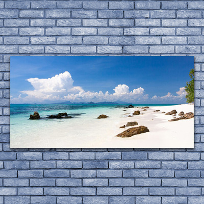 Glass Wall Art Beach stones landscape white grey