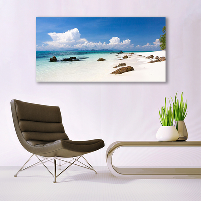 Glass Wall Art Beach stones landscape white grey