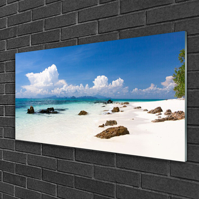 Glass Wall Art Beach stones landscape white grey