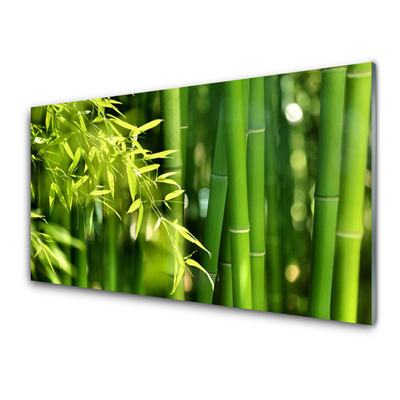 Glass Wall Art Bamboo leaves floral green