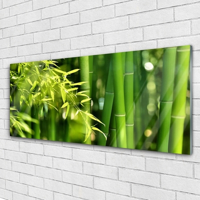 Glass Wall Art Bamboo leaves floral green