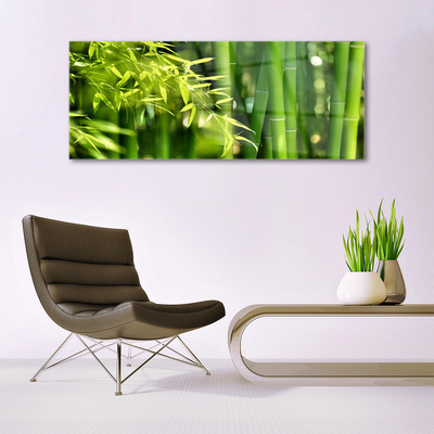 Glass Wall Art Bamboo leaves floral green