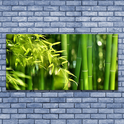 Glass Wall Art Bamboo leaves floral green