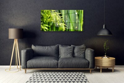 Glass Wall Art Bamboo leaves floral green