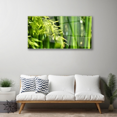 Glass Wall Art Bamboo leaves floral green